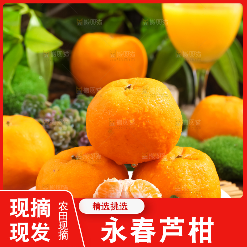 盘子里放着芦柑