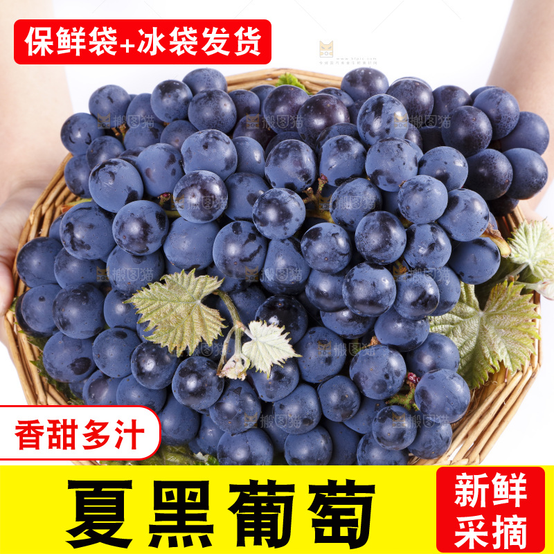 手里端着一篮紫葡萄