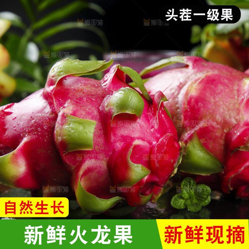 黑底上放着红心火龙果