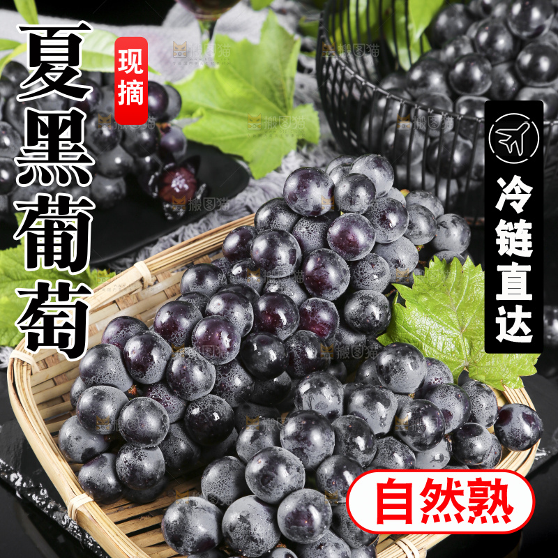 篮子里装着黑提子