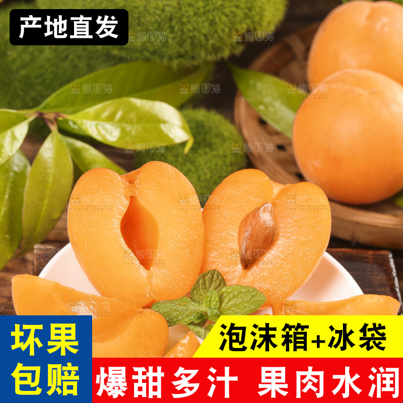 盘子装着秦岭头茬大黄杏