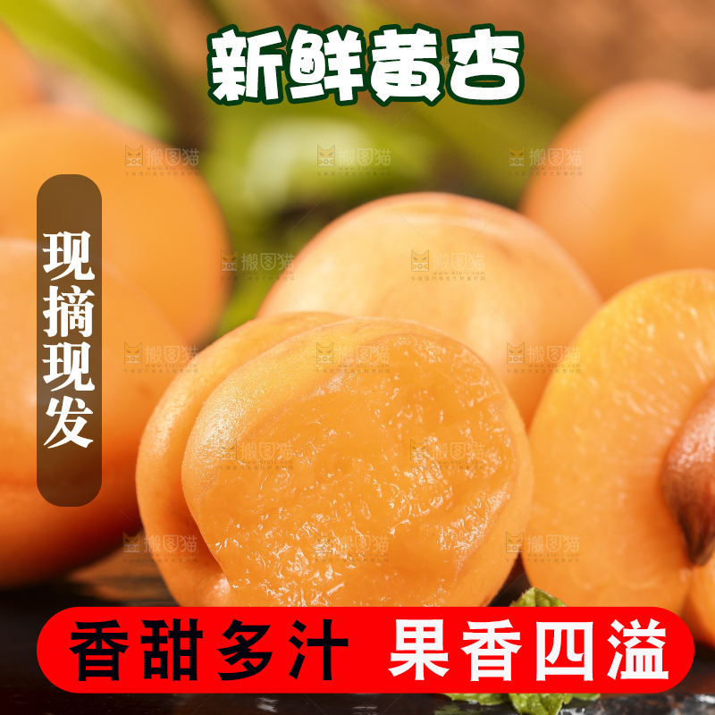 黑底上摆放着陕西大黄杏