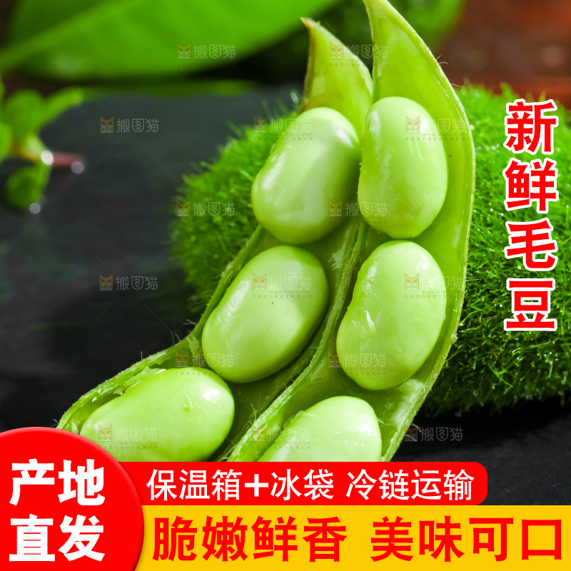 黑底上摆放着生毛豆