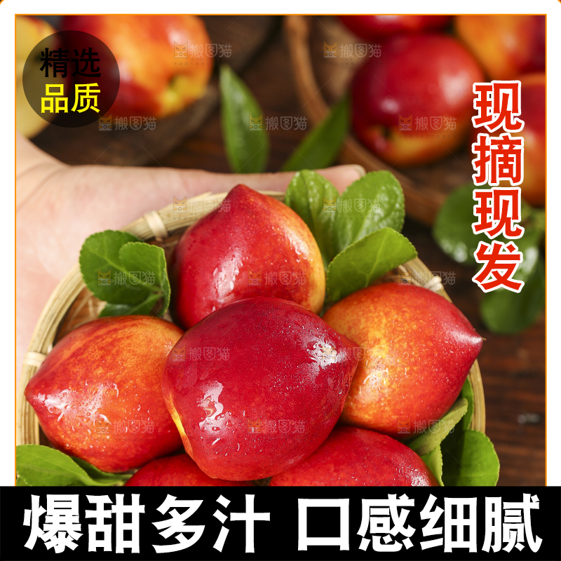 篮子里装着新鲜油桃