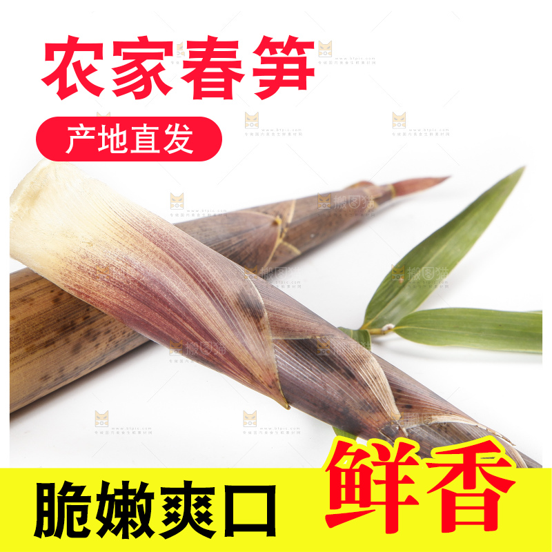 白底上摆放着建瓯雷笋