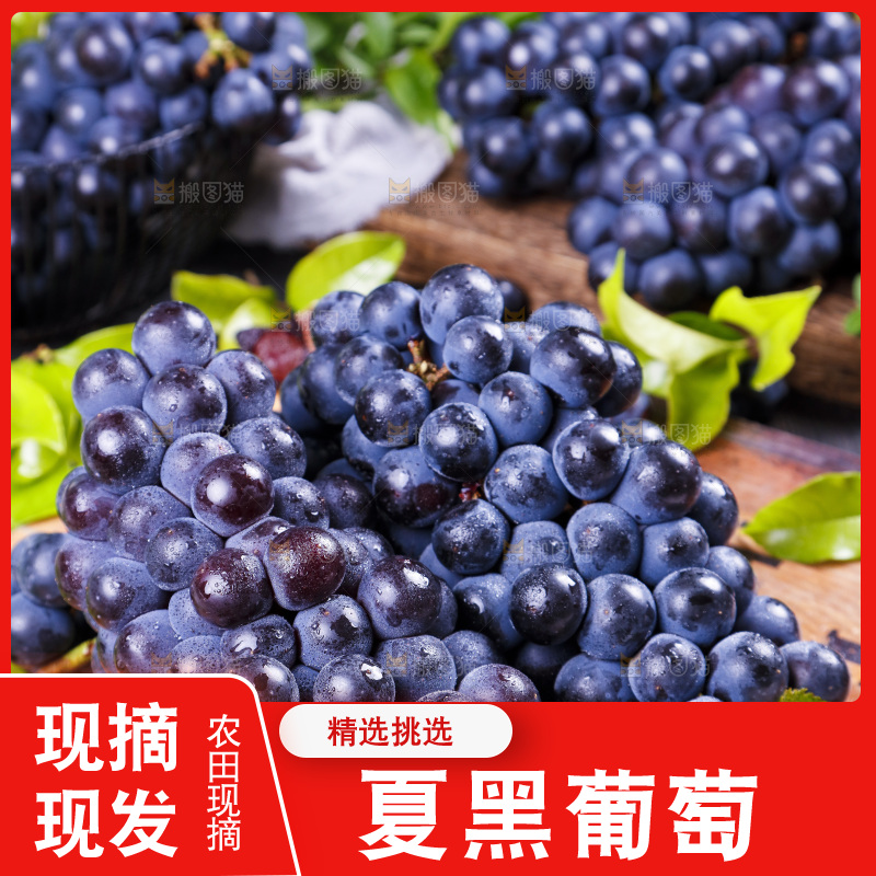 浅底上放着无籽葡萄