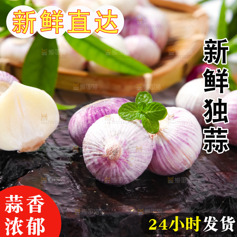 深底上摆放着紫皮独蒜