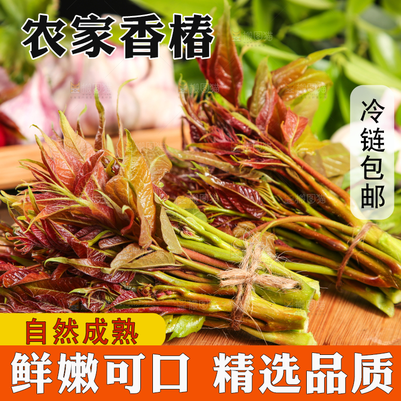 木底上放着一把秦岭香椿