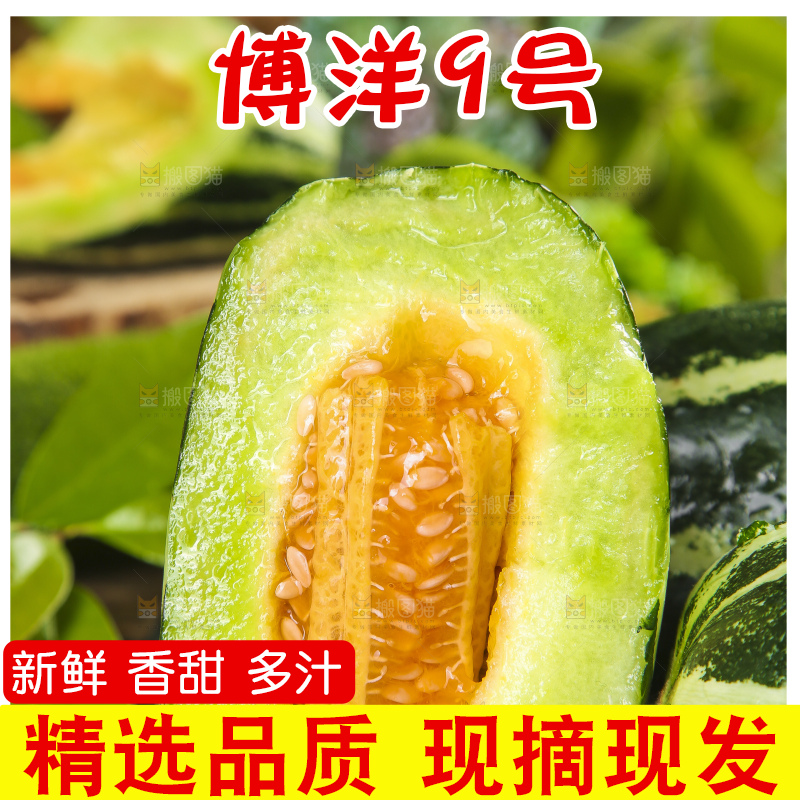 黑底上摆放着博洋香瓜