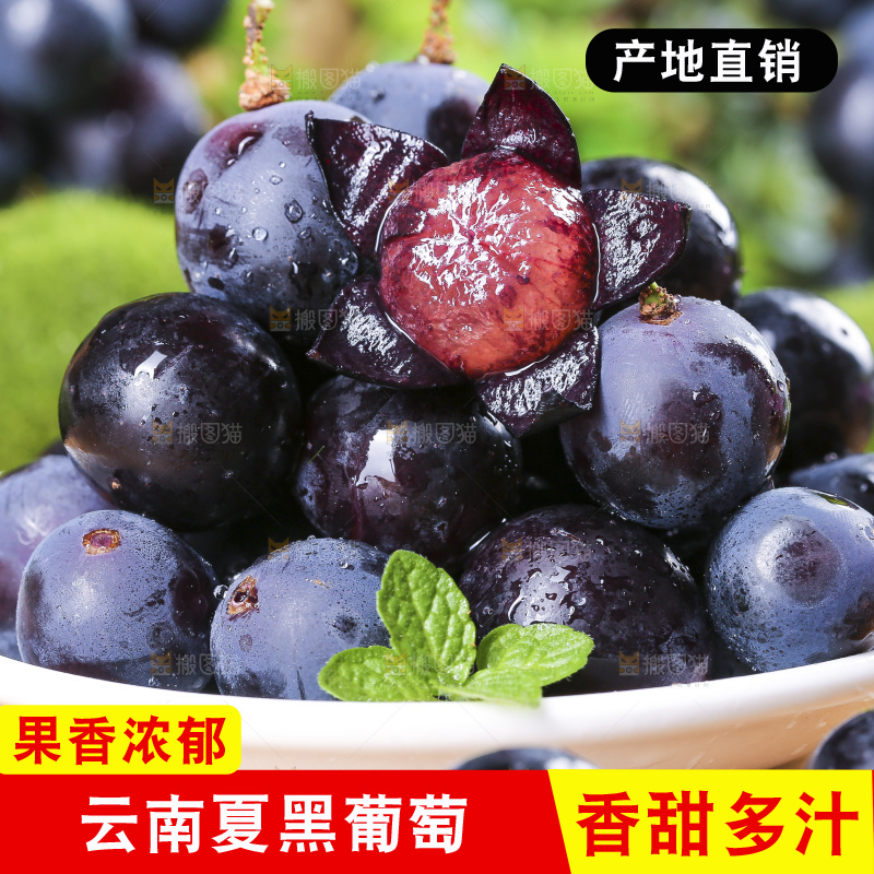 盘子里装着黑加仑葡萄