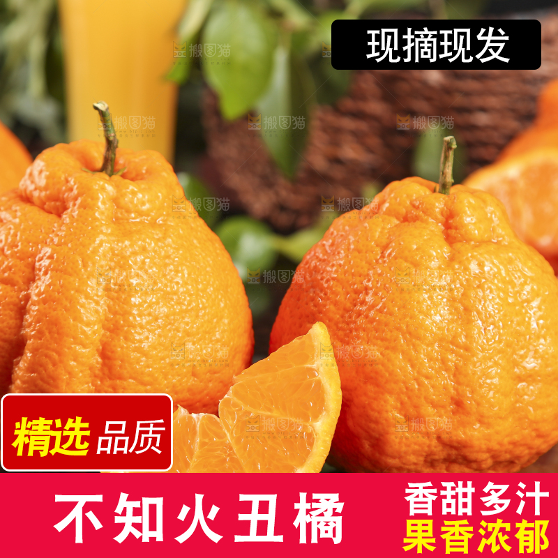 黑底上放着丑八怪橘子
