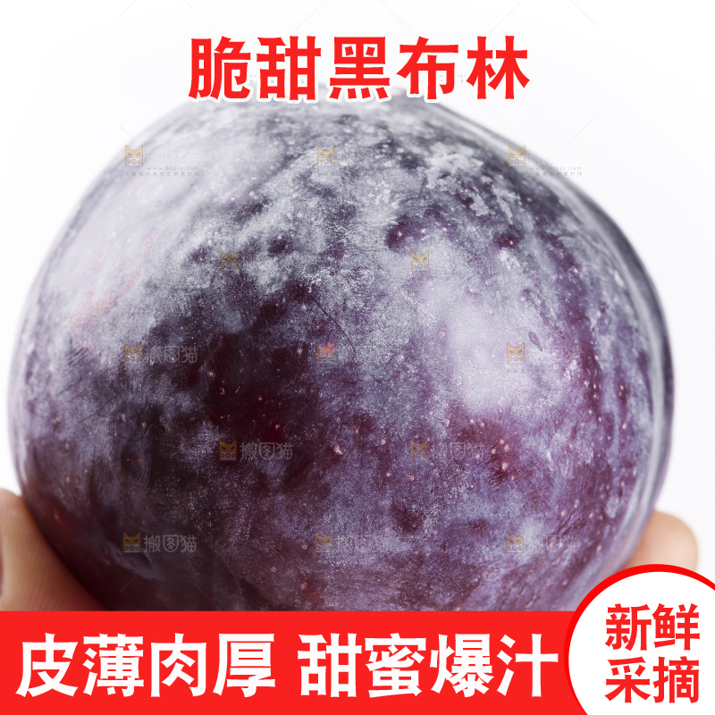 手里拿着黑布朗