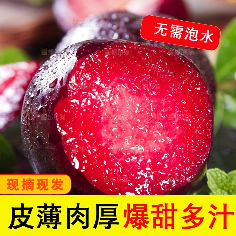 黑底上摆放着智利进口恐龙蛋
