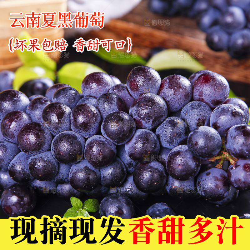 黑底上摆放着云南夏黑葡萄