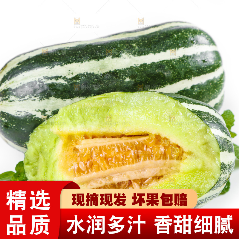 白底上放着山东博洋9号甜瓜