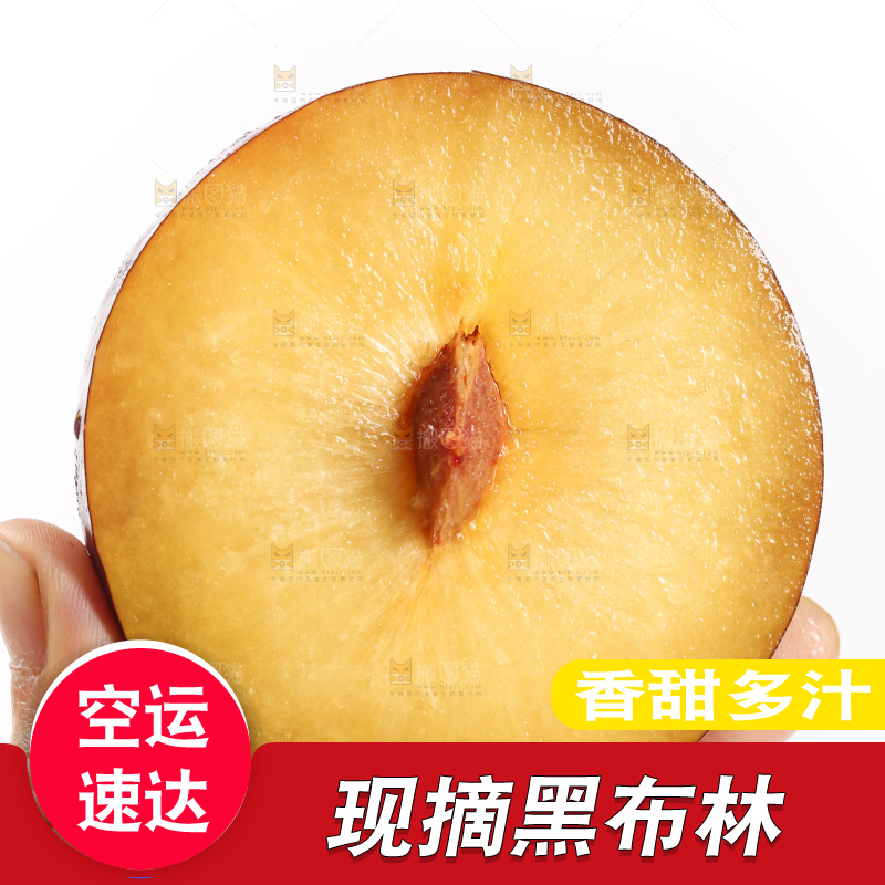 手里拿着黑布林