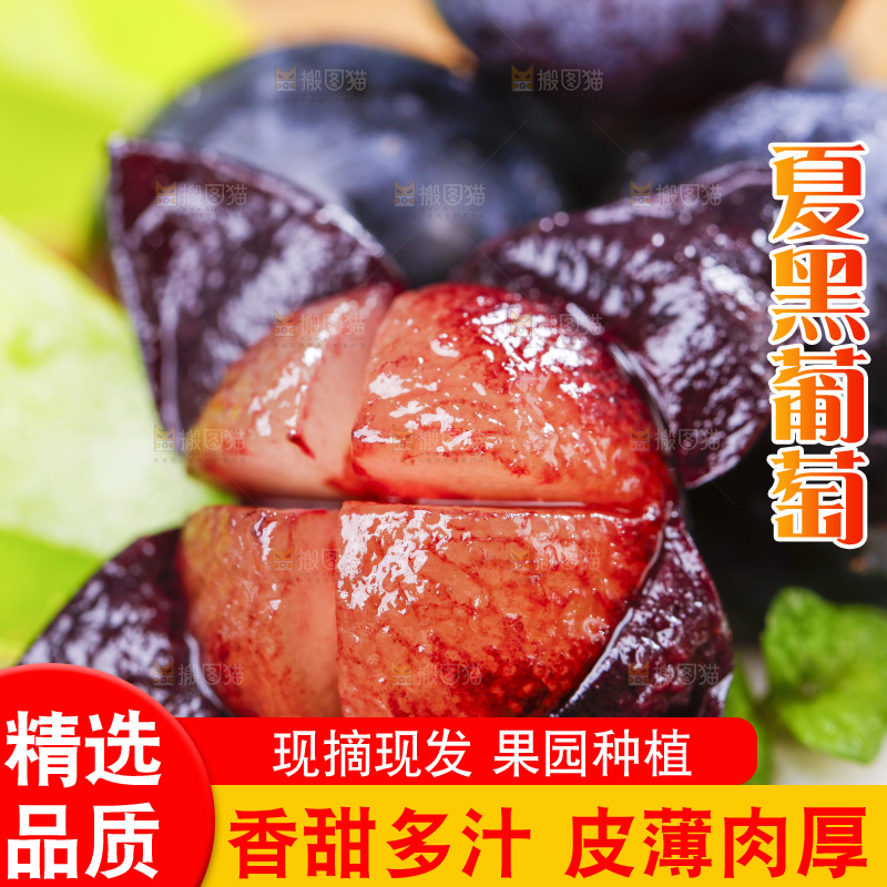 白底上放着黑提