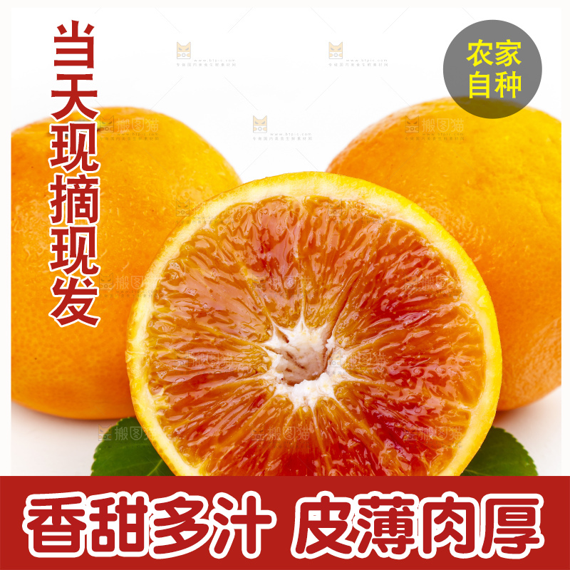 白底上摆放着血橙