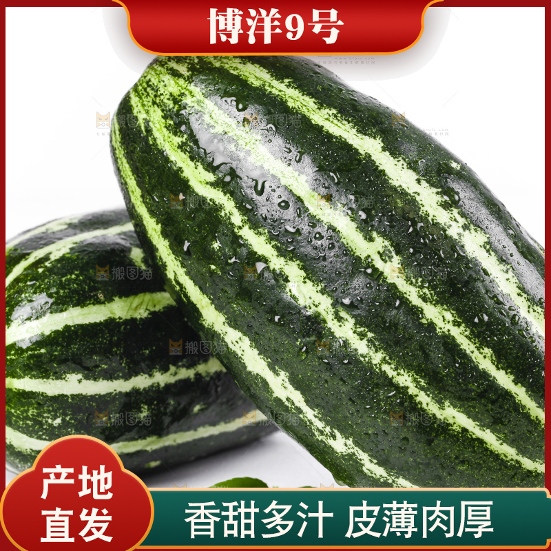 白底上摆放着花皮甜瓜