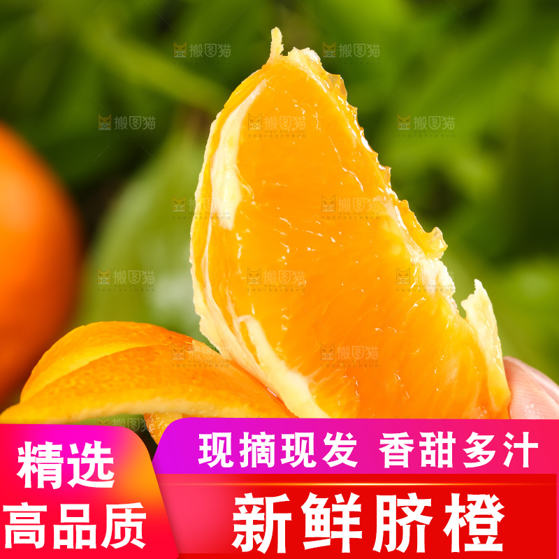 手里拿着脐橙