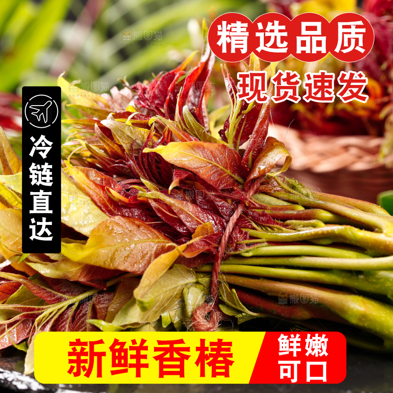 深底上放着香椿芽