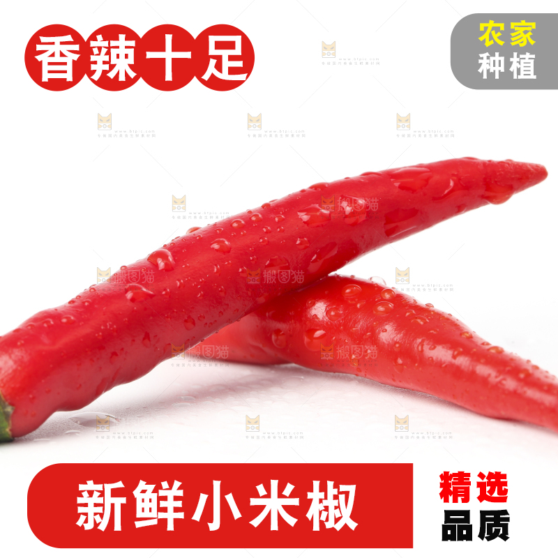 白底上摆放着小米椒