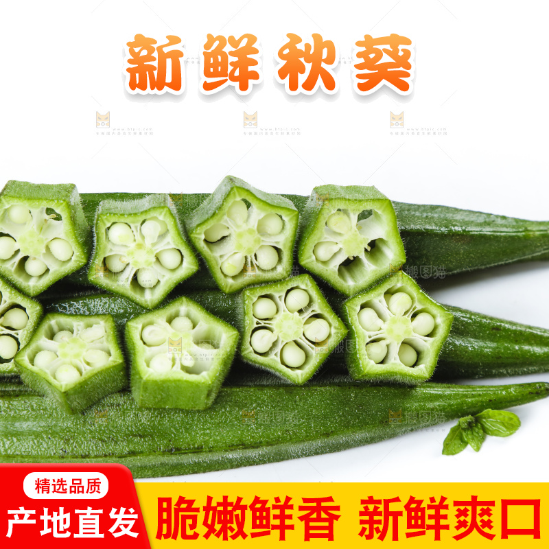白底上摆放着秋葵