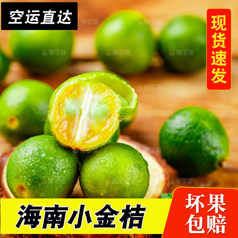 木底上摆放着海南小金桔