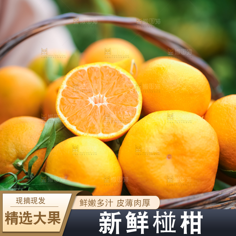 篮子里装着椪柑