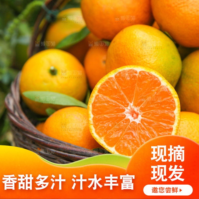 篮子里的新鲜橘子