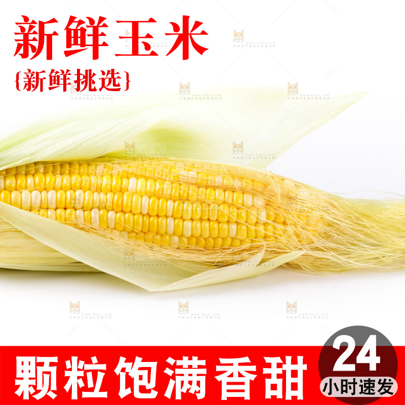白底上放着黄玉米