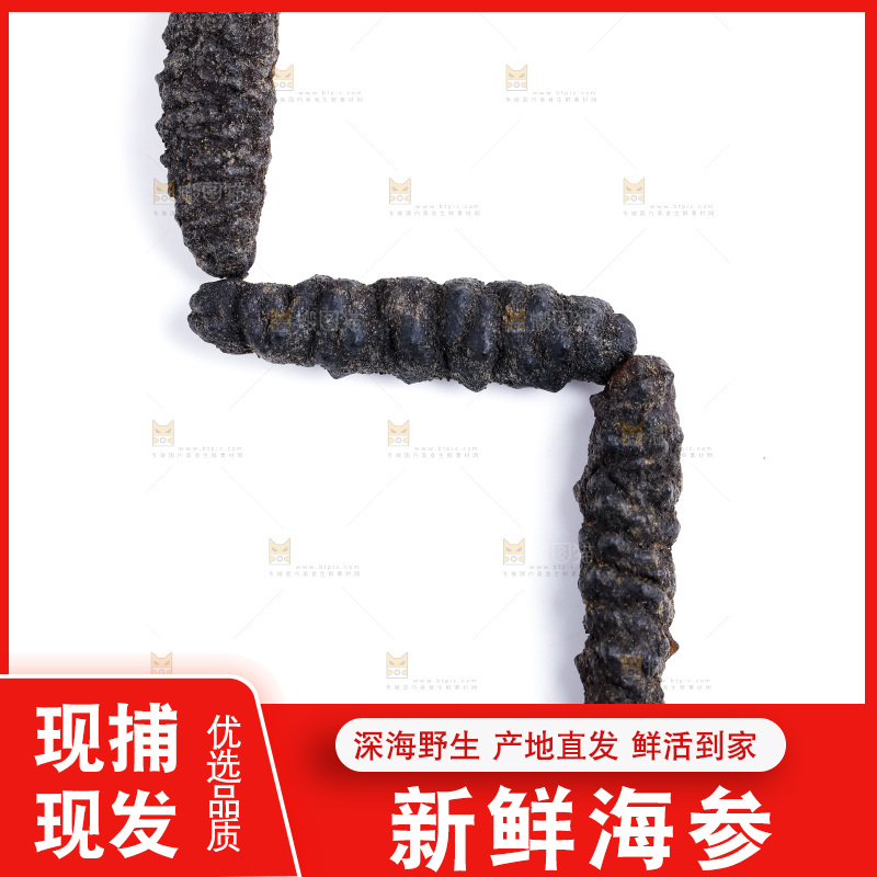 白底上放着干海参