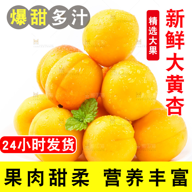 盘子里装着新鲜麦黄杏