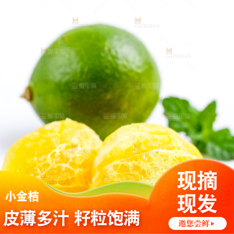 浅底上摆放海南小青桔