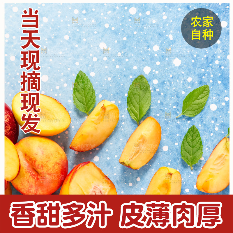 浅底上摆放着黄心油桃