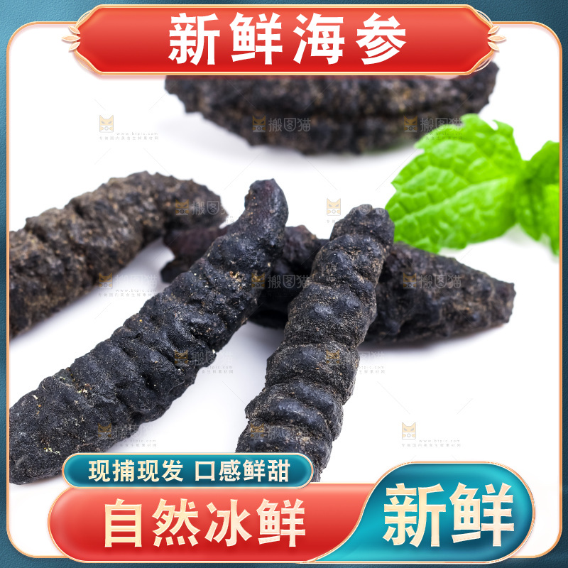 白底上摆放着大连刺参