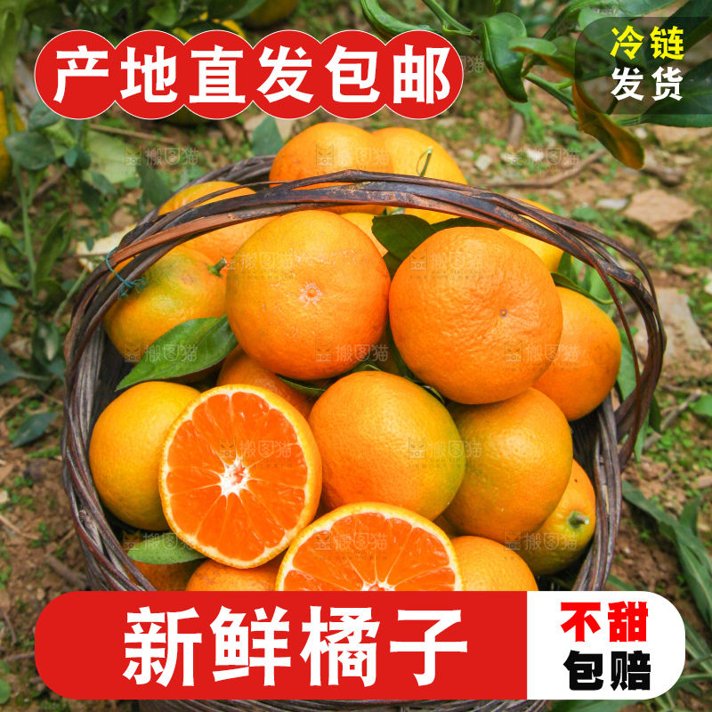 篮子里的新鲜橘子