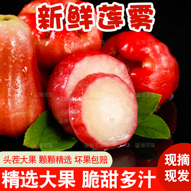 黑底上摆放着海南黑金刚莲雾