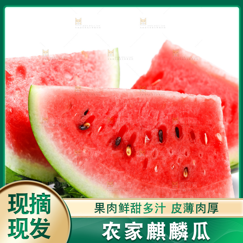 白底上摆放着麒麟瓜