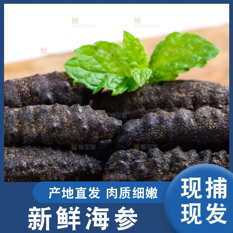 木底上放着大连刺参