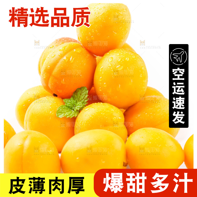 白底上放着杏子