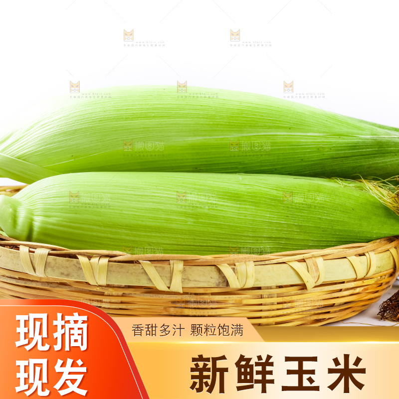 篮子里装着苞谷