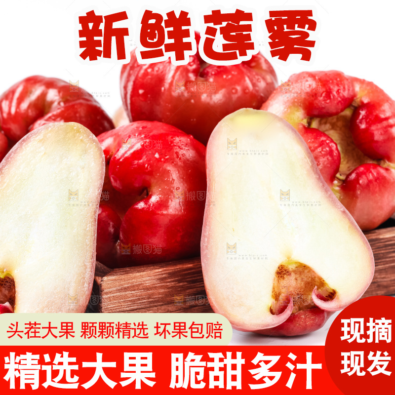 木盒里装着黑金刚莲雾