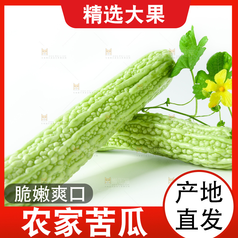 白底上放着的苦瓜