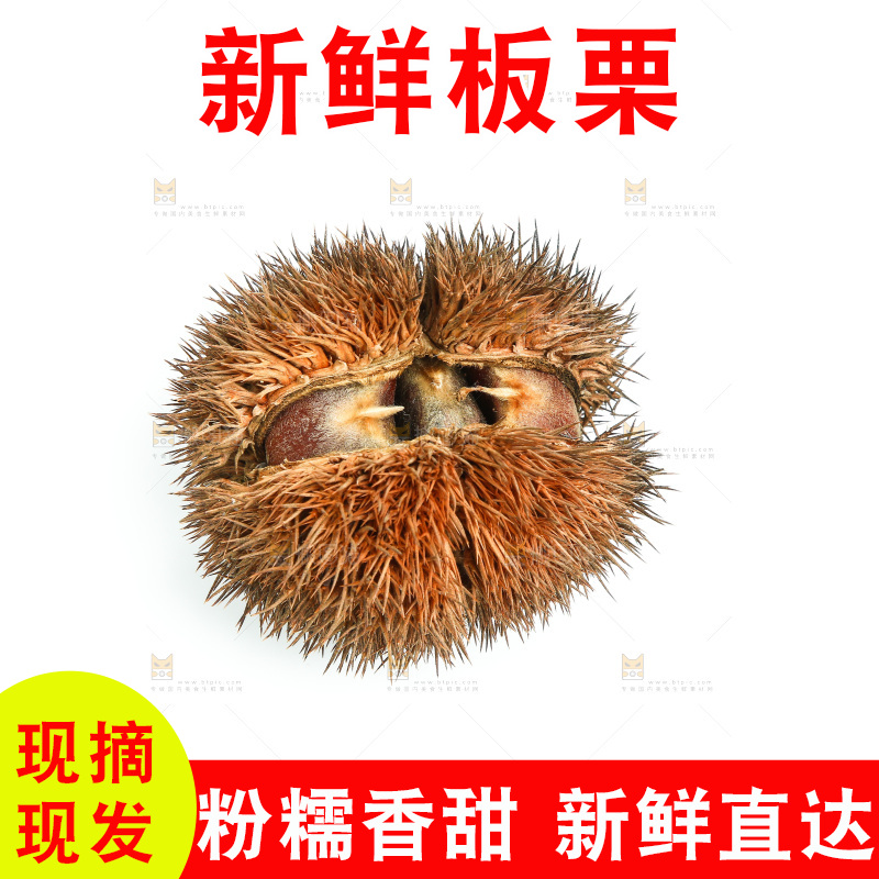 白底上放着板栗