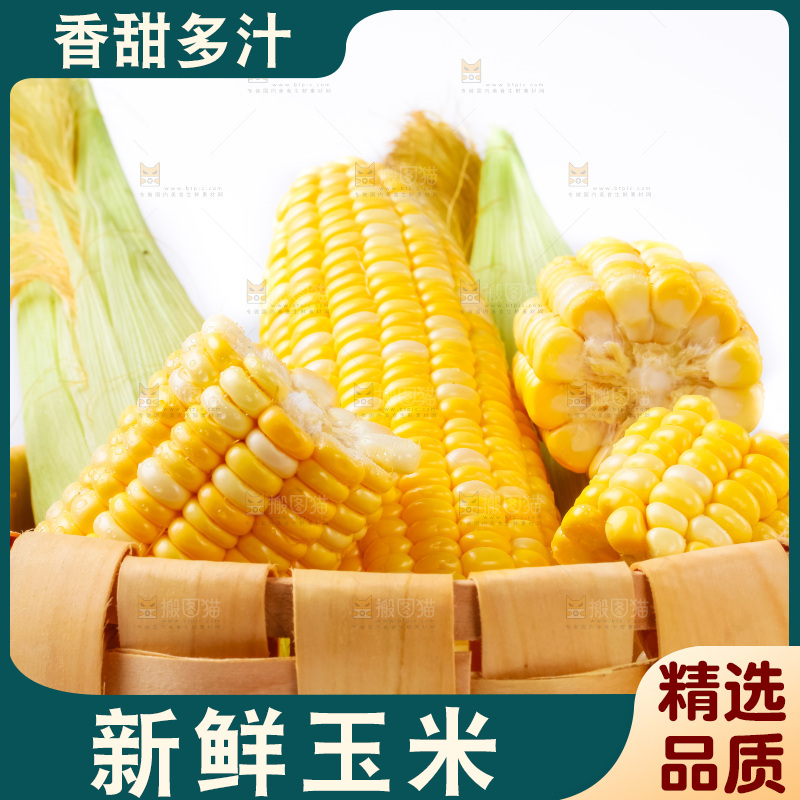 篮子里装着黄玉米