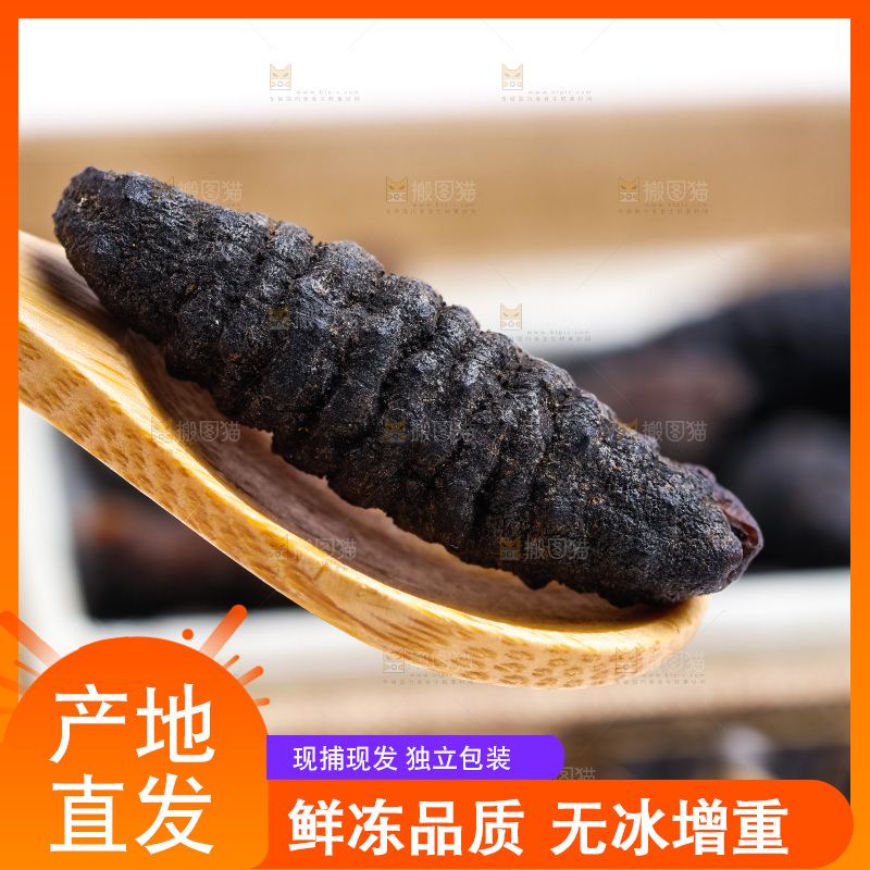 勺子上放着干海参