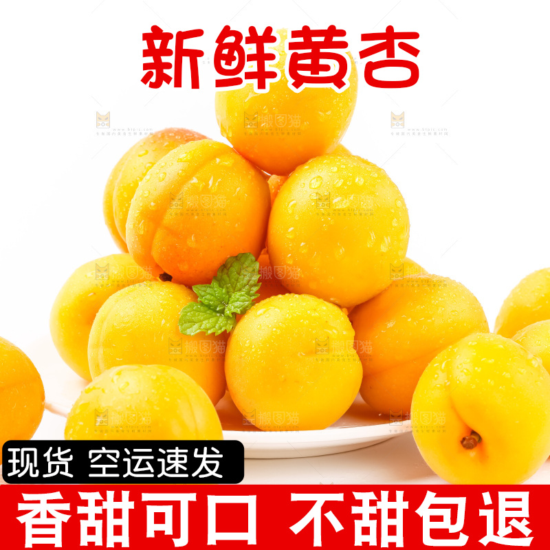 盘子里装着新鲜麦黄杏