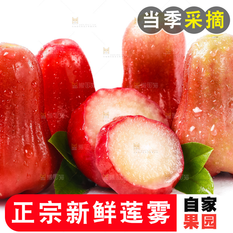 白底上摆放着海南莲雾