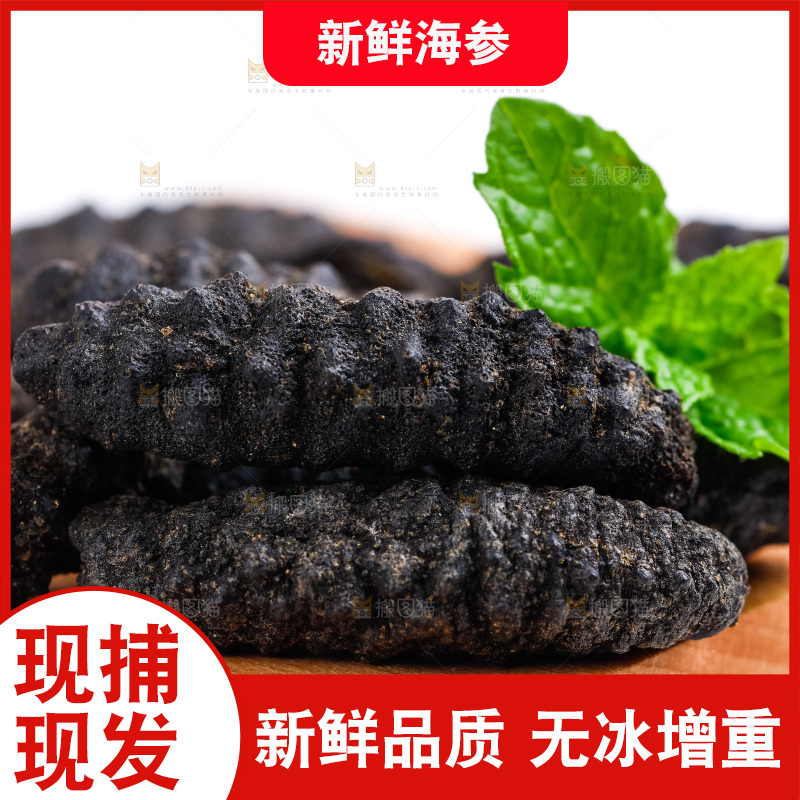 木底上放着野生海参